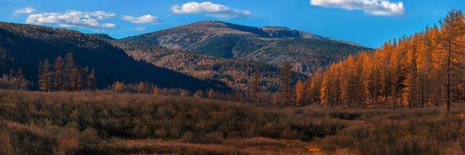 Behjil's profile banner image