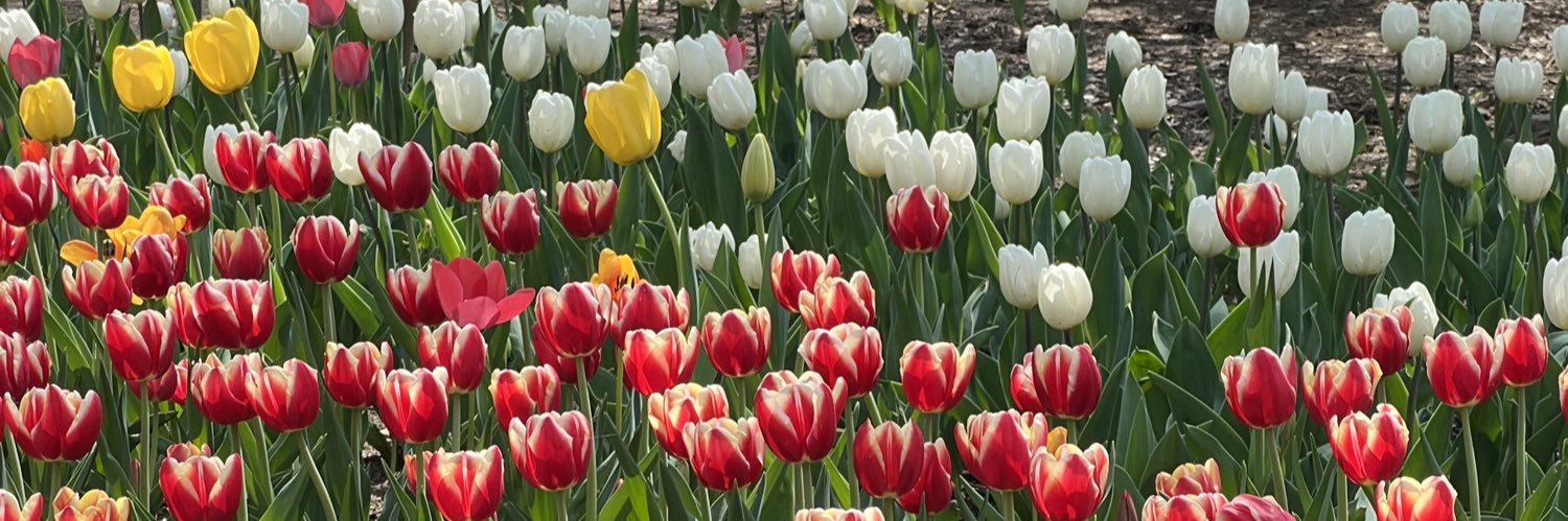 แช่ม 🎃 banner