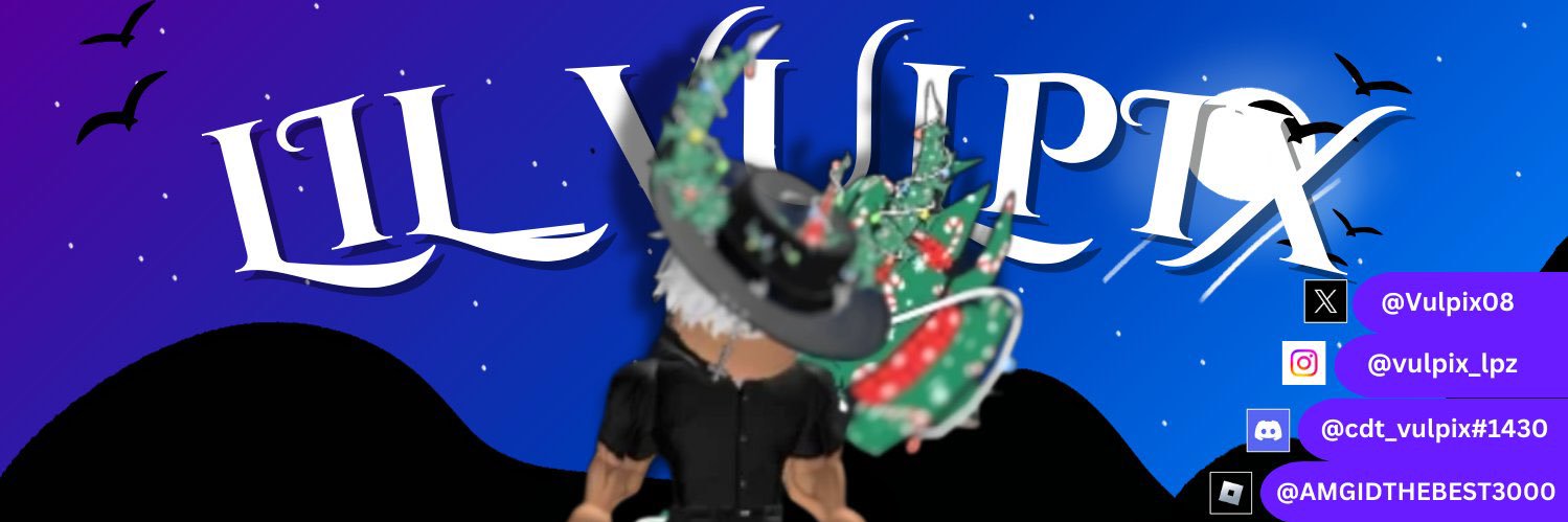 ❄️ Lil_IceVulnona ❄️ banner