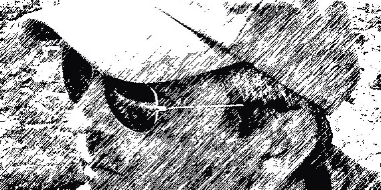 hanscastorpp's profile banner image