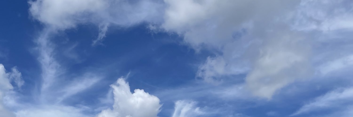 darinptr's profile banner image