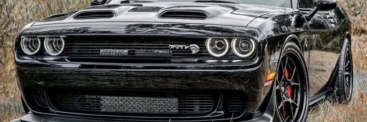 junior_19803's profile banner image