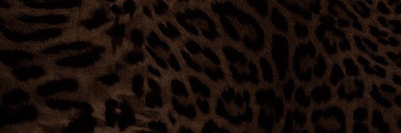 theprivatelist's profile banner image
