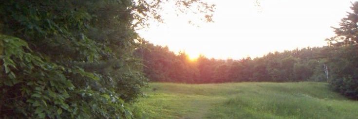 𐔌 . ⋮ dott .ᐟ ֹ ₊ ꒱ banner