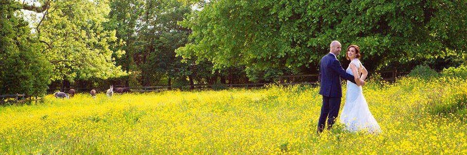 Barnabrow House banner
