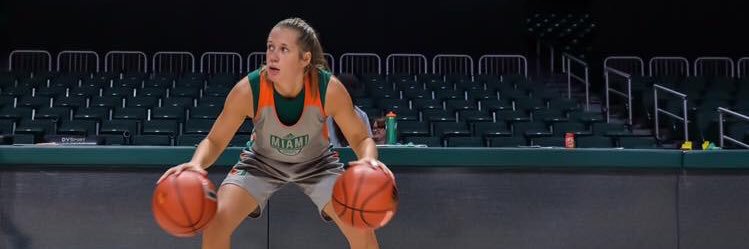 Laura Cornelius banner