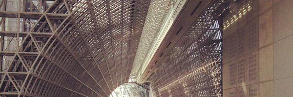 crazymadcat Profile Banner