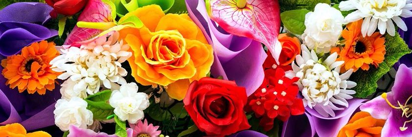 DailyQuotation's profile banner image