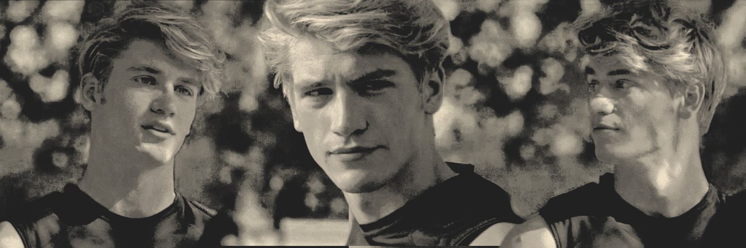 ᅠ ⋆ 𝓣𝐇𝐄 𝐒𝐔𝐍.'s banner
