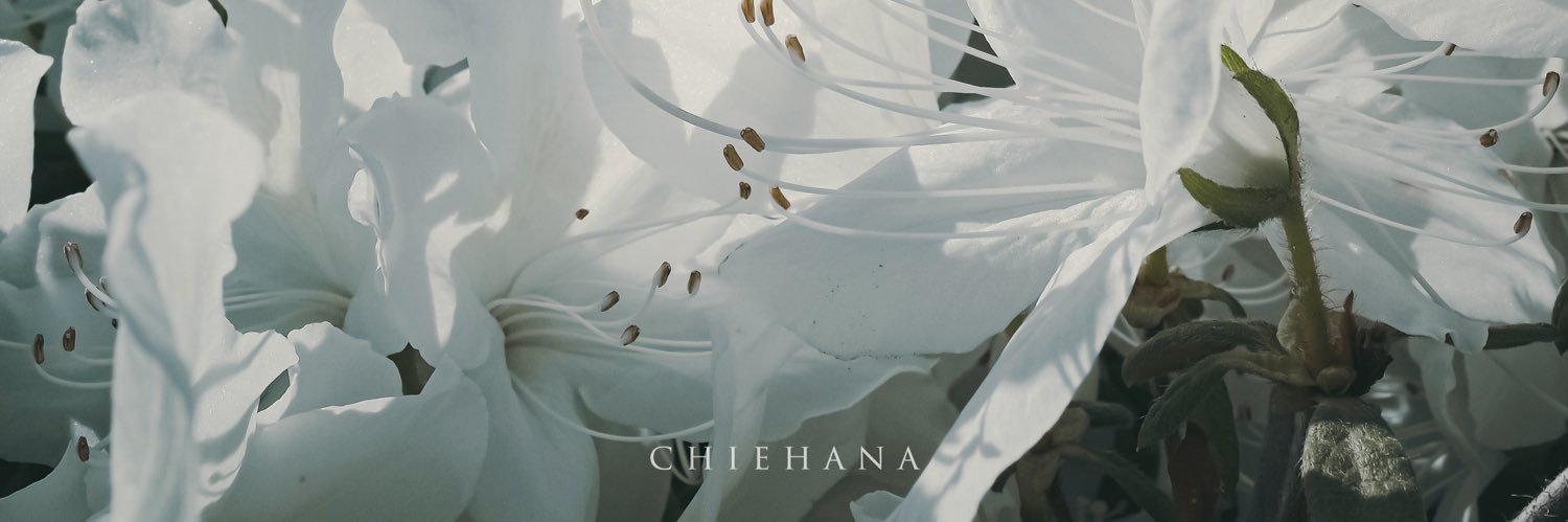 chie hana's banner