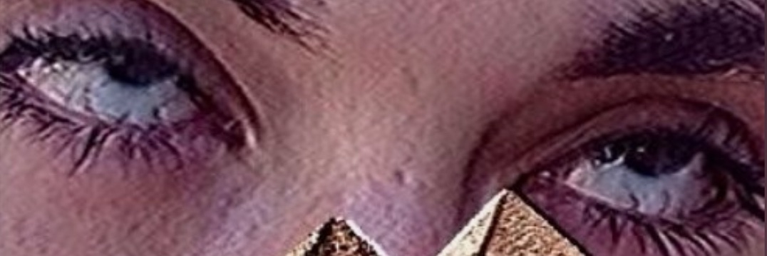 No. banner