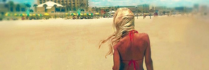 Lisa Gosselin banner