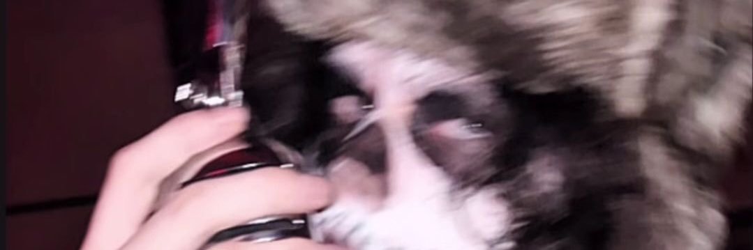 woopie of shtwt banner