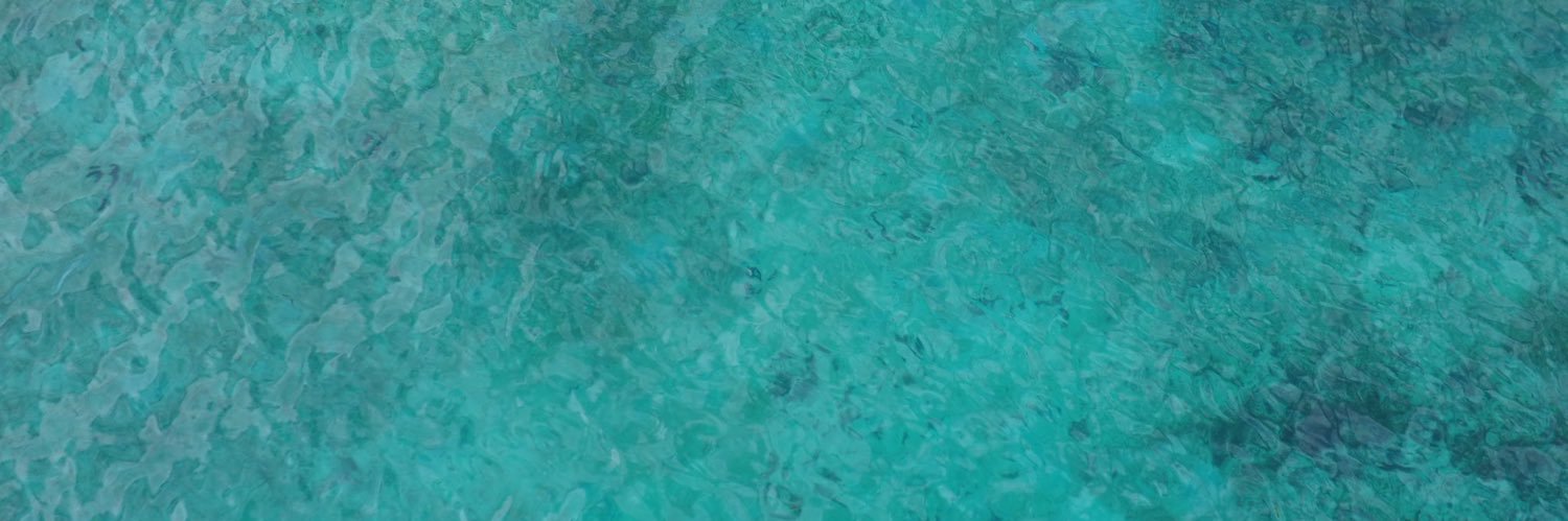 まいつん banner