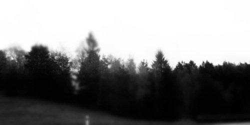 milaukgdr's profile banner image