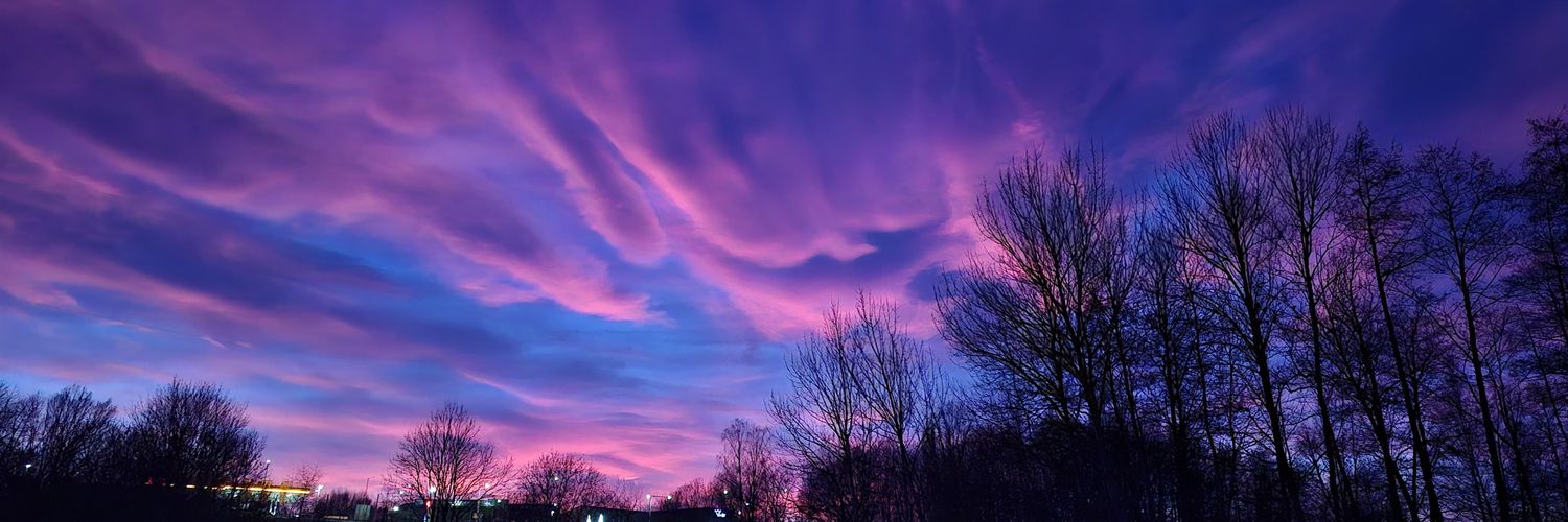 Nikoleta sweet banner