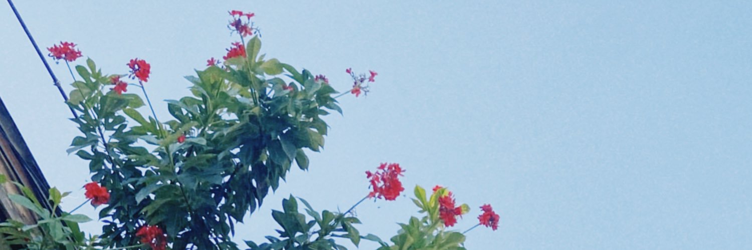 suy ° n banner