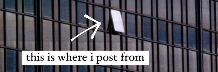 misha ↯'s banner