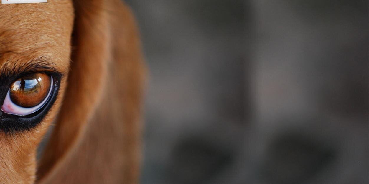 hph111's profile banner image