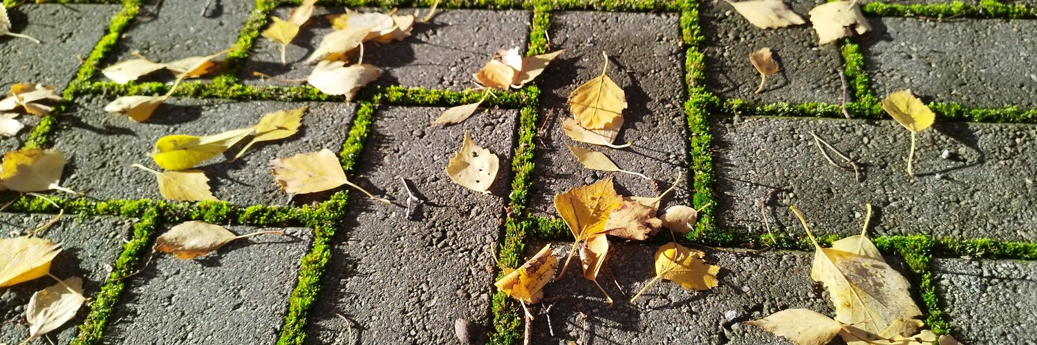 Linards Hartmanis banner