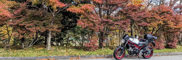 STOMP_RIDER Profile Banner
