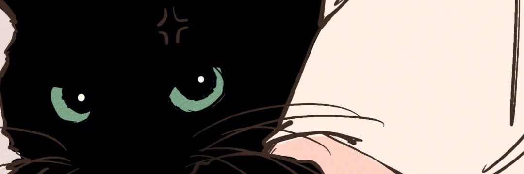 zaoshui0812's profile banner image