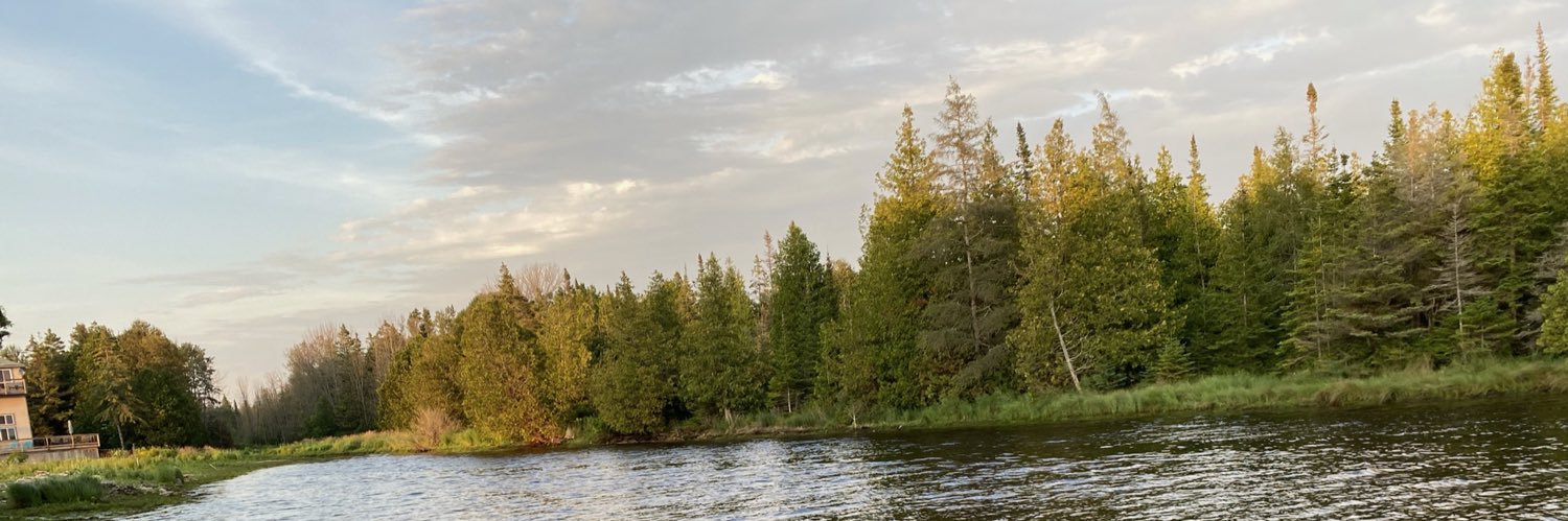 mrsbasisto's profile banner image