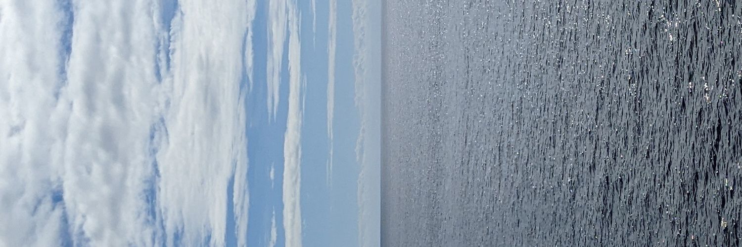 Thimios Tzallas banner