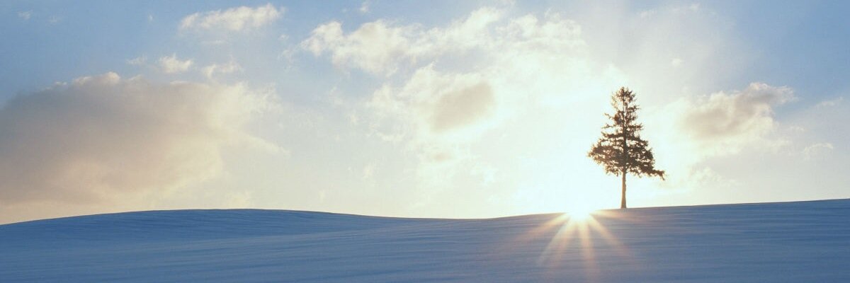 YX1120's profile banner image