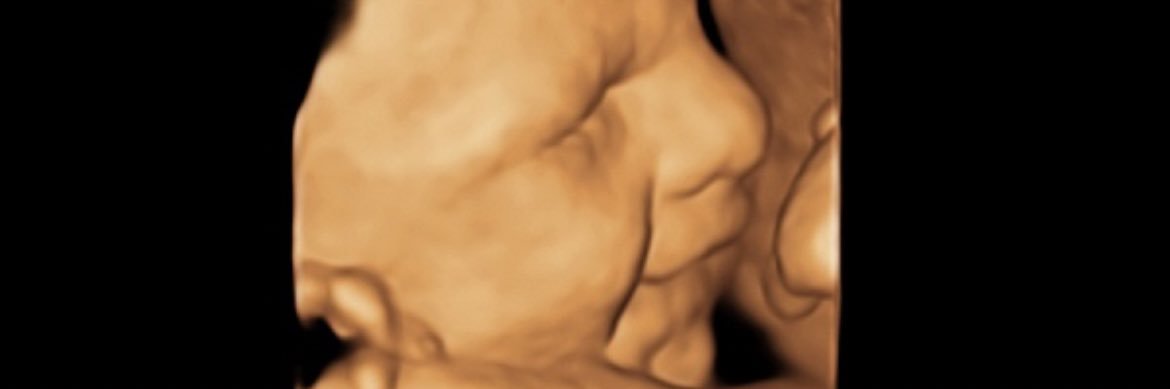 rayray17__'s profile banner image