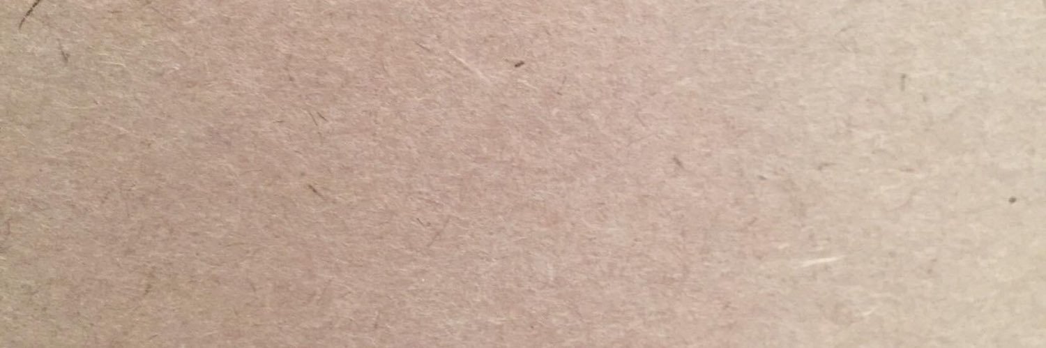 LaineJuneMarie's profile banner image