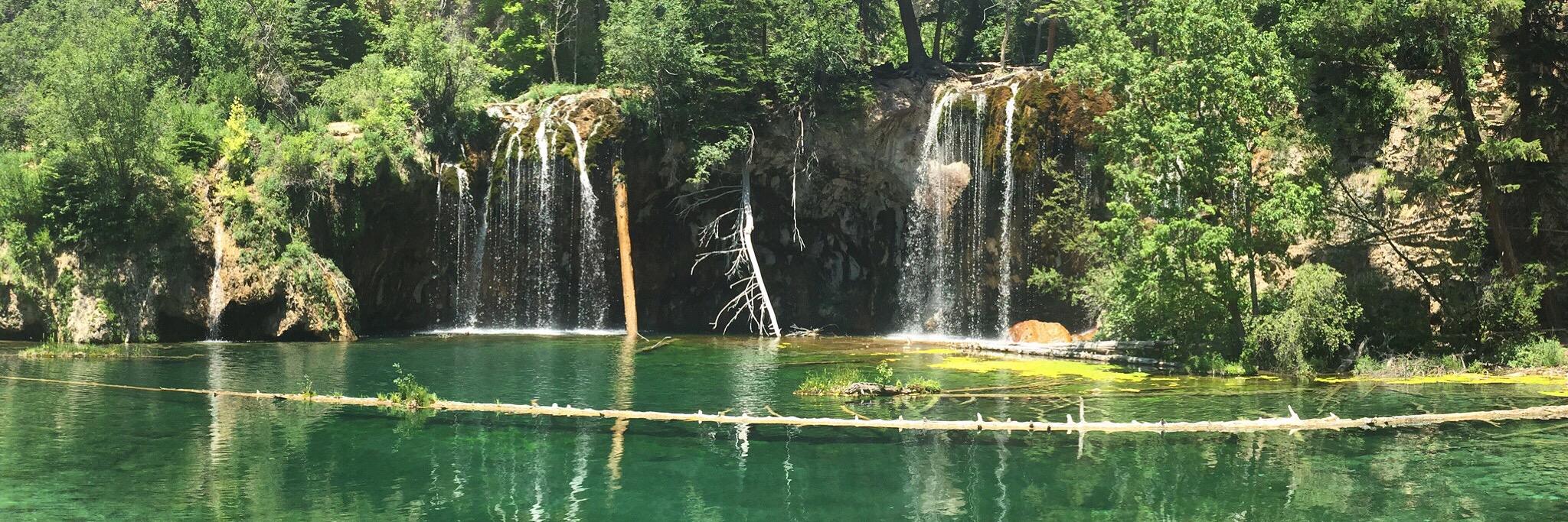 Jessica Fajans banner