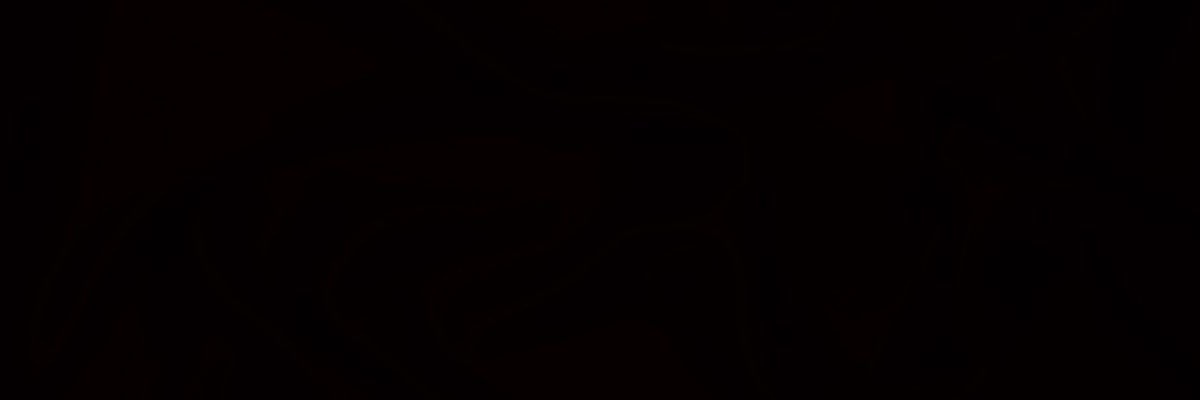 MÁÁV (ya no estoy) banner