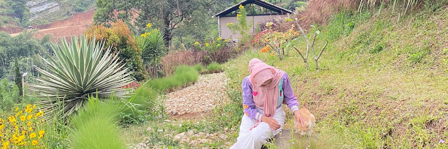 arawrr universe🦖 banner