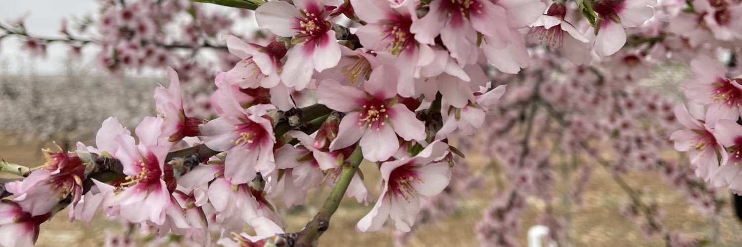 Laura Sánchez Cifo banner