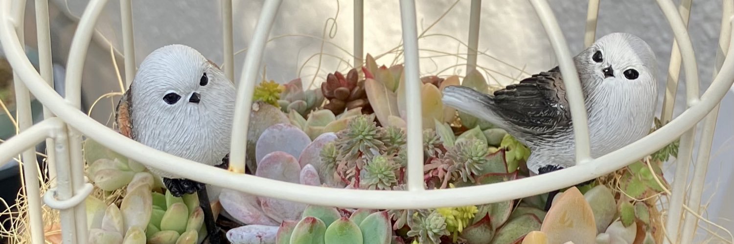 MiniGarden_C's profile banner image