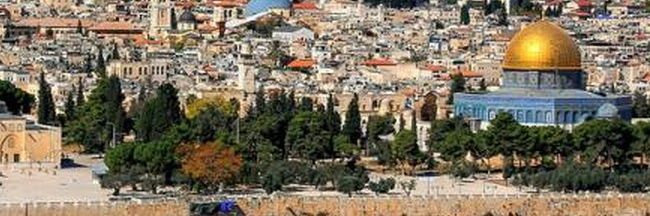 Mohammed|مُحَمّدْ𓂆🇵🇸's banner