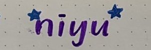 Niyu banner