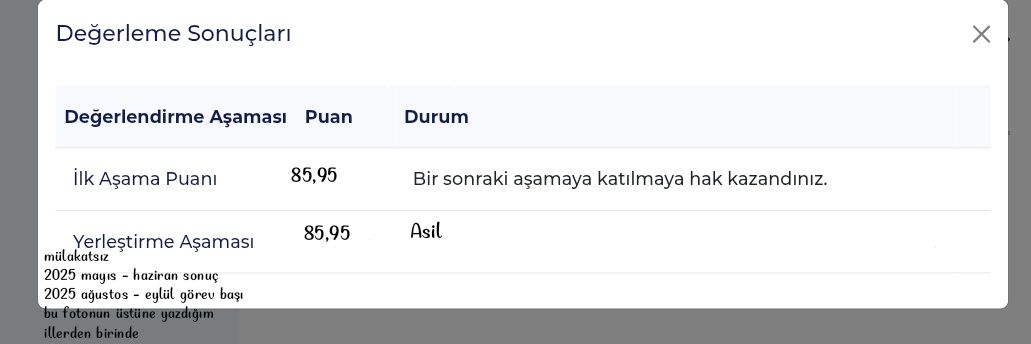 Nazlı banner