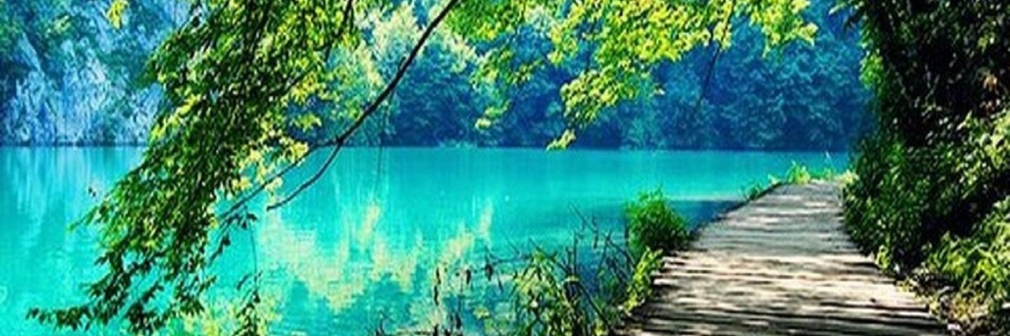 leannpass's profile banner image