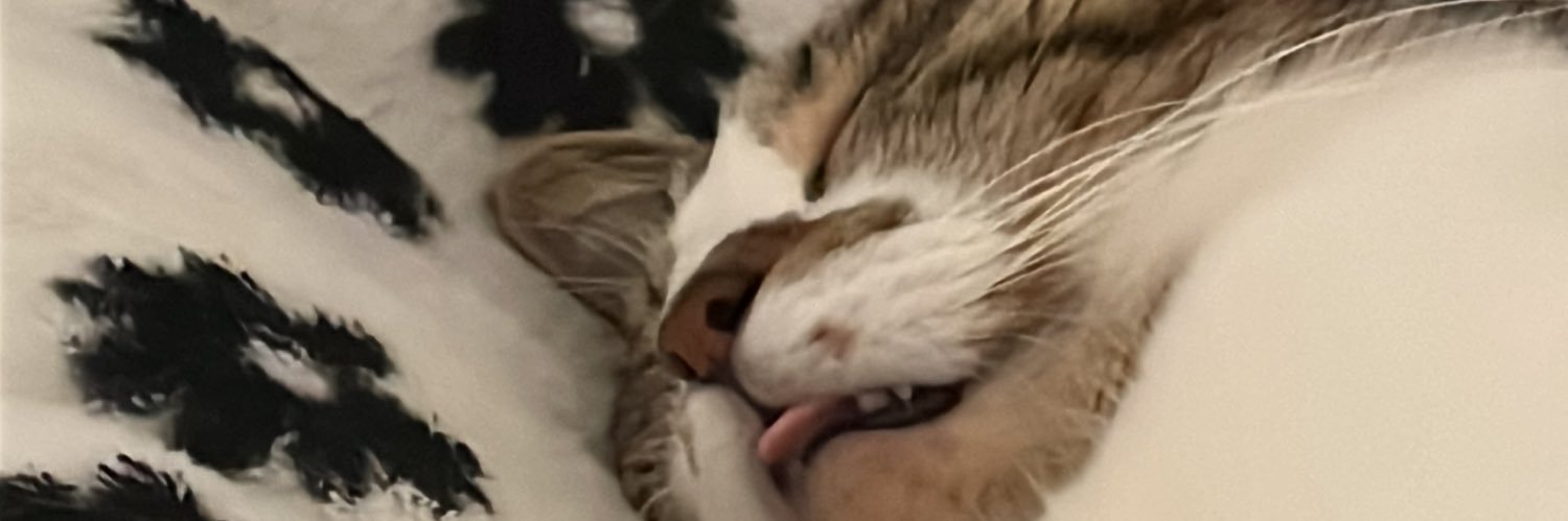 miafret's profile banner image