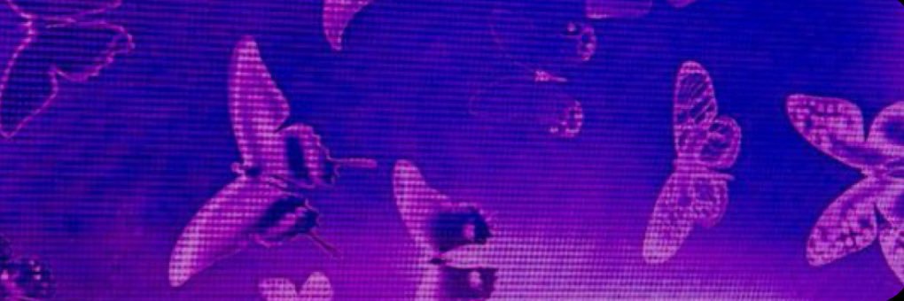 weezilla banner