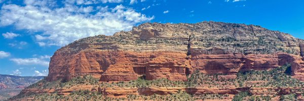 Waltonamo Profile Banner