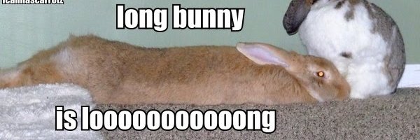 mefohist / cheese3 ( REST ) banner