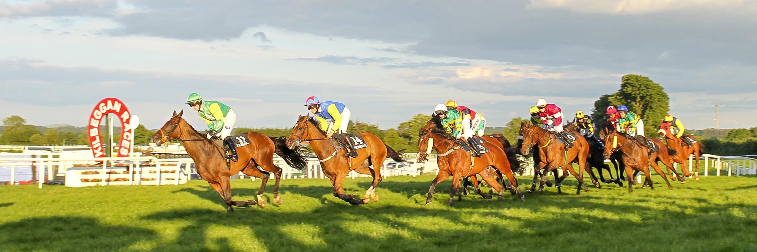 Kilbeggan Races (@KilbegganRaces) / Posts / X
