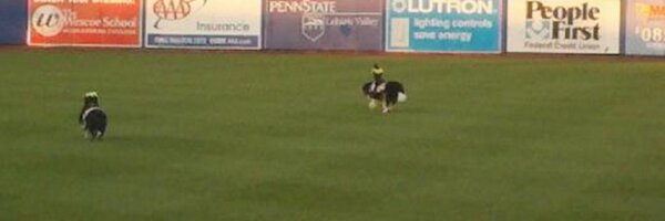 briandunne Profile Banner