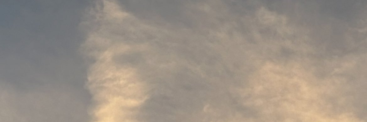 borjacalvin's profile banner image