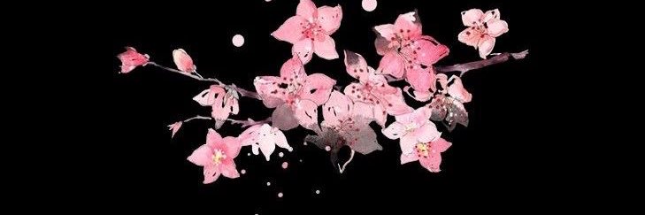 lithium_hashira's profile banner image