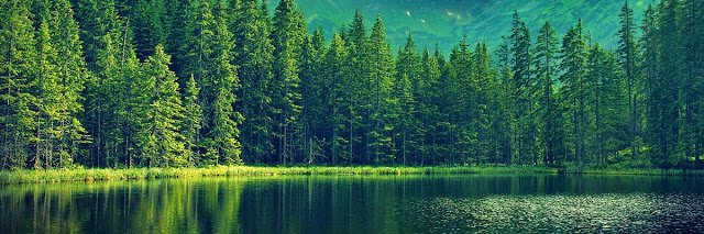 devrimcuvelenk's profile banner image