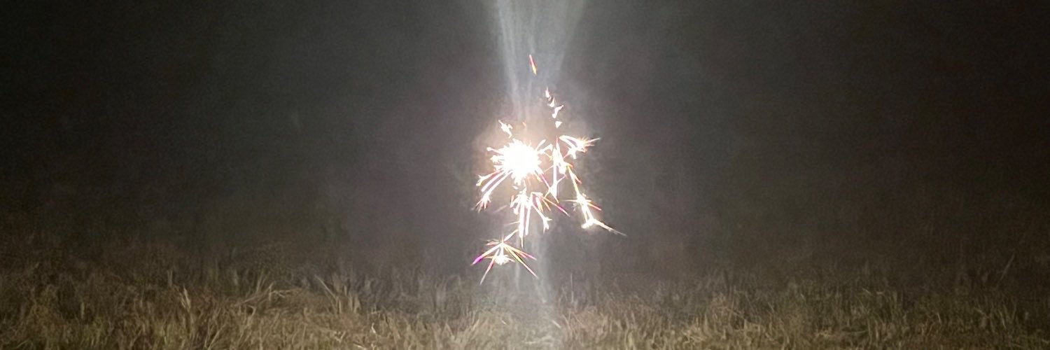 pizzarolls96's profile banner image